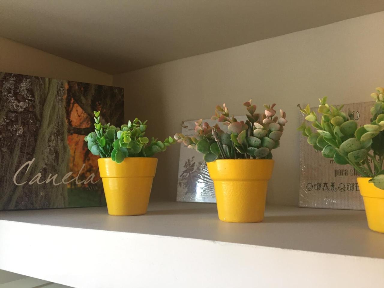 Apartamento Em Canela Εξωτερικό φωτογραφία